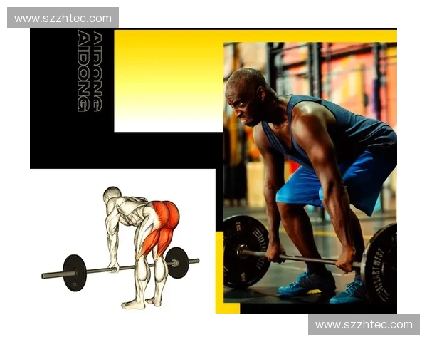 以髋部发力为核心优化运动表现提升训练效果的科学方法